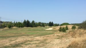 golf course drought management